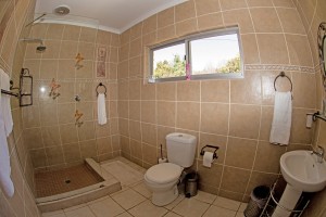 Bathroom1 (2)