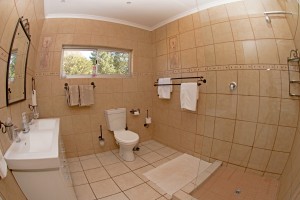 Bathroom3 (2)