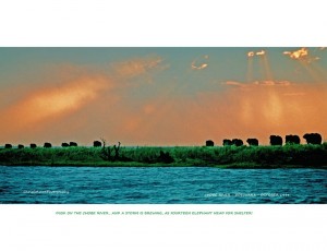 CHOBE SUNSET