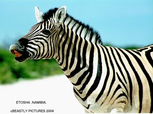 Image00018 (3)